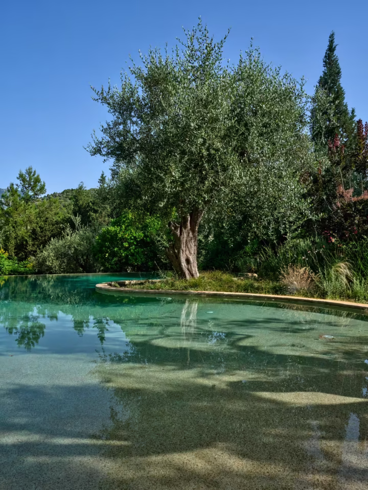 Stavros Niflis - XX - Ithaki photoshoot