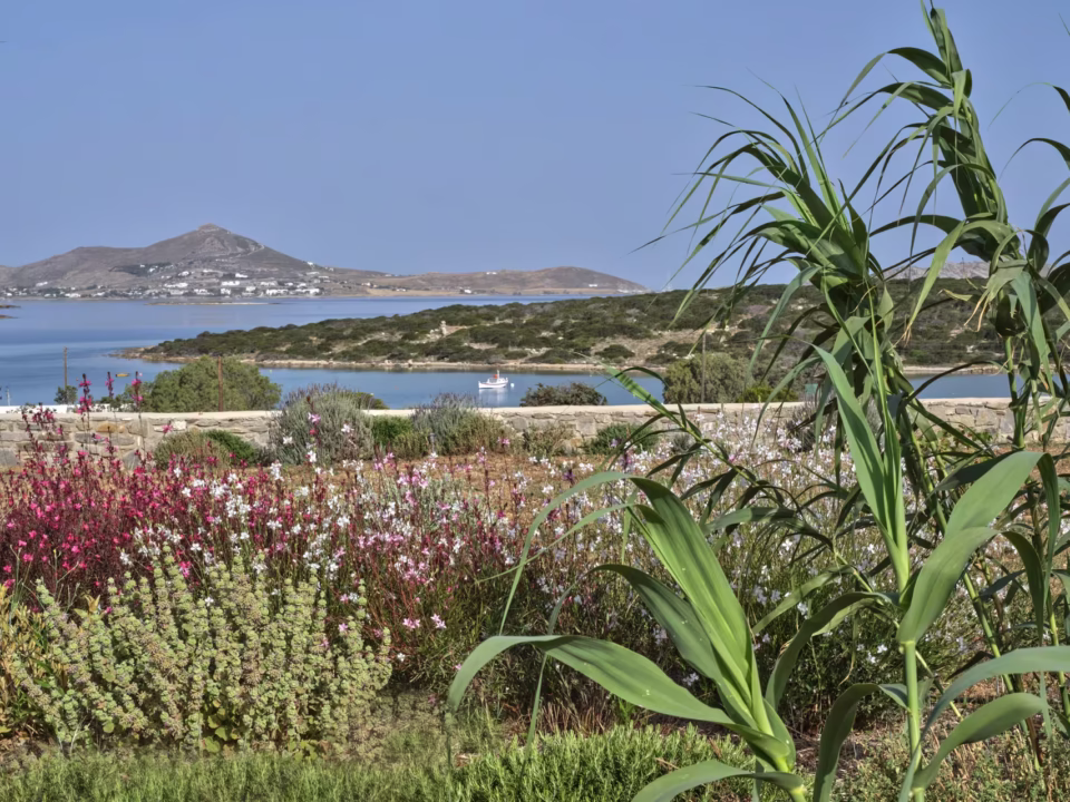 Stavros Niflis - XXI - Paros photoshoot